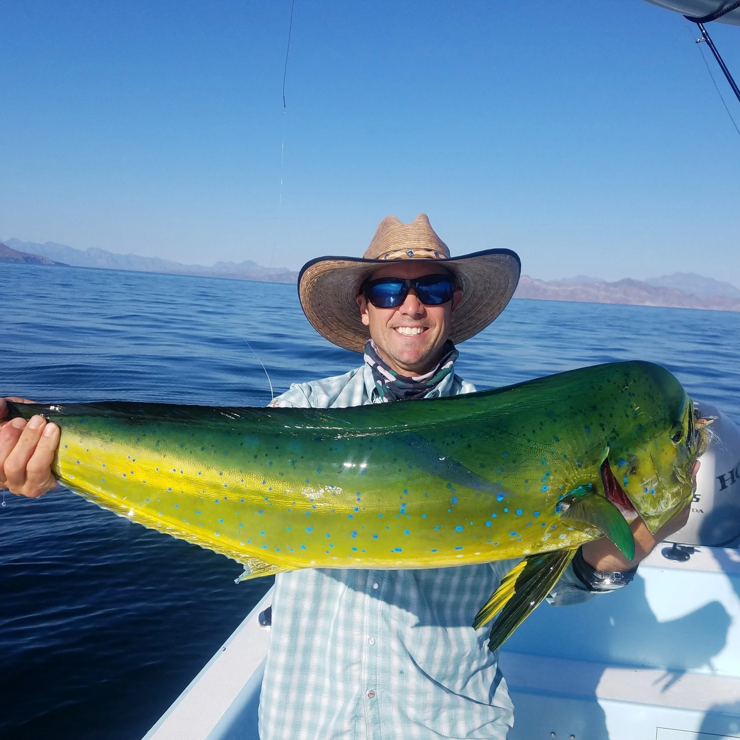 Top 12 Roosterfish & Dorado Flies // Deadly Dozen Assortment - Image 4