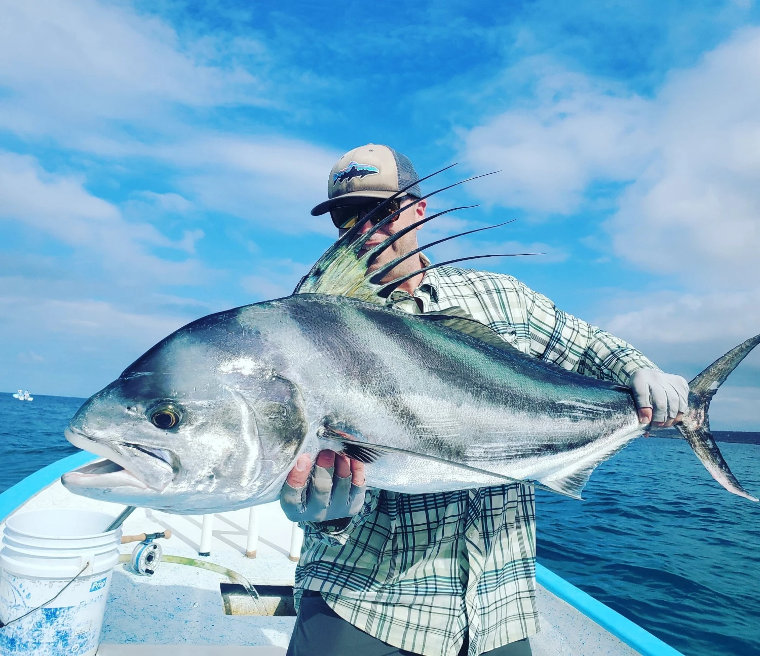 Top 12 Roosterfish & Dorado Flies // Deadly Dozen Assortment - Image 7