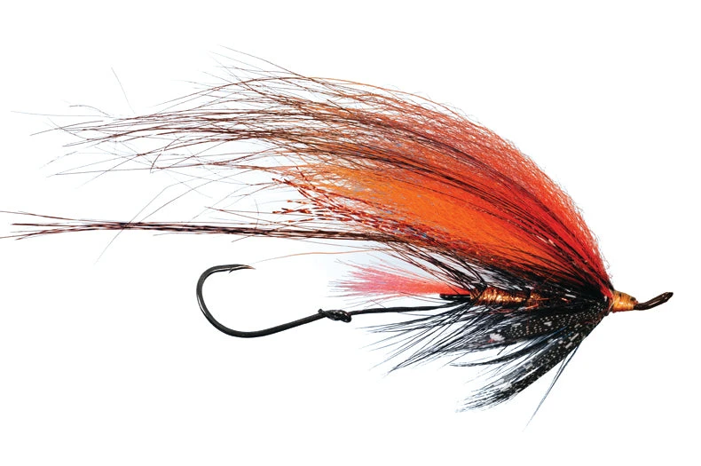 Foxee Dog By Solitude - Image 3