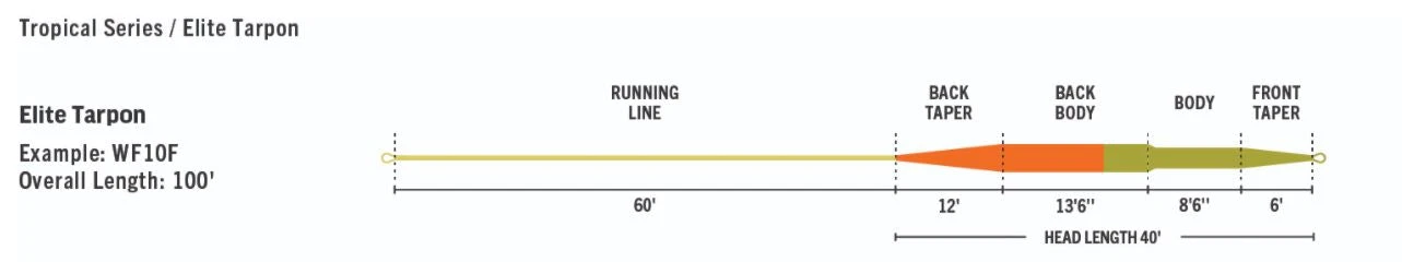 RIO Elite Tarpon Line - Image 3