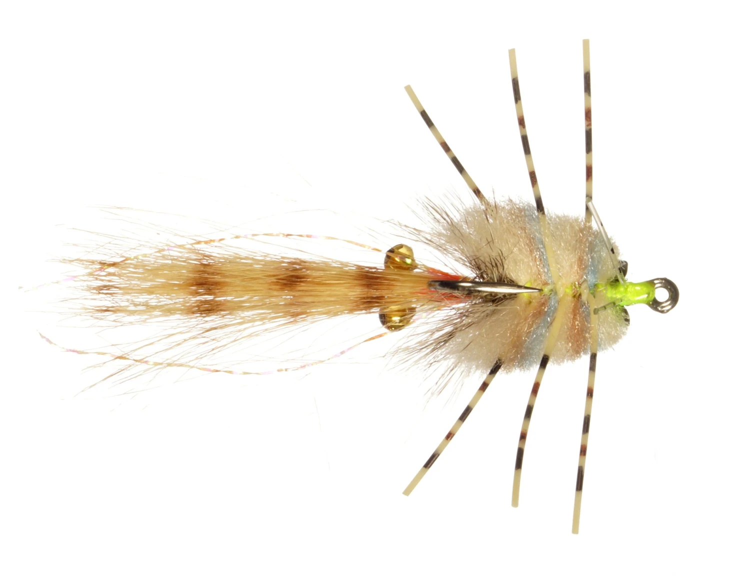 Corona Crab By Rainy's // Permit Crab